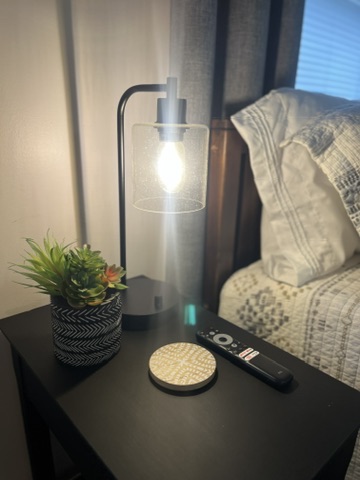 Bedside table with lamp, plant, and TV remote